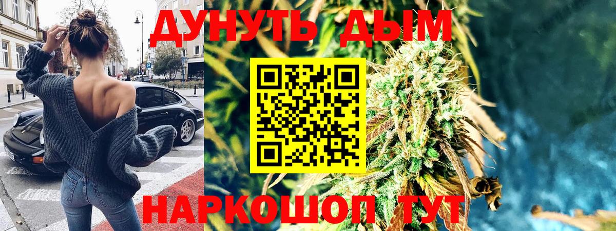 Конопля планчик  Вход с VPN  Канабис план  Красногорск  Конопля гибрид  МАРИХУАНА семена 